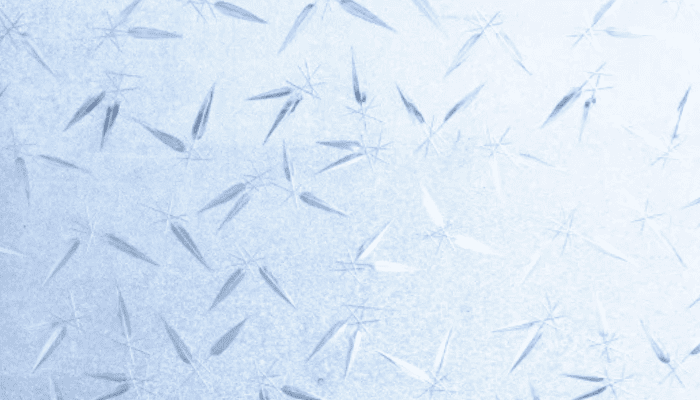 型板ガラス 小紋柄の細かい模様の写真