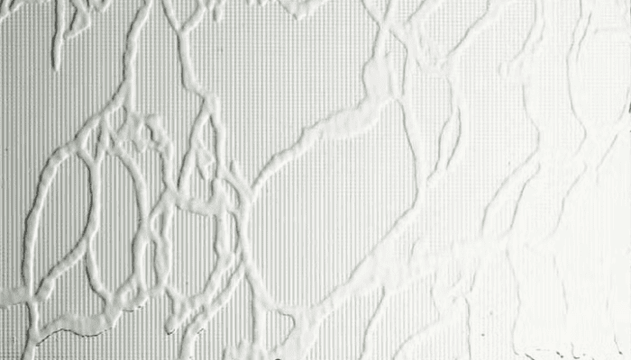 型板ガラス 波模様の透過光